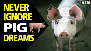 What does Pig dream meaning | Dreaming of pig mean | Pig dream interpretation
