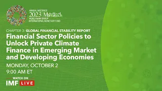 Unlocking Private Climate Finance for Emerging Market and Developing Economies