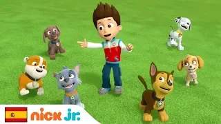 PAW Patrol | ‘Friendship Song’ Music Video 🐾 | Nick Jr.