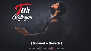 Tur Kalleyan - Lofi (Slowed + Reverb) | Arijit Singh, Shadab Faridi, Altamash Faridi | MR Lofi