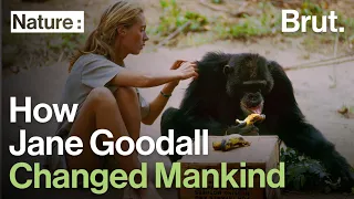 How Jane Goodall Changed the Relationship Between Humans and Animals