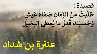 قصيدة: دموع في الخدود لها مسيل، للشاعر عنترة بن شداد