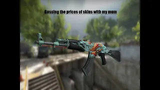 My mum guess CSGO skin prices