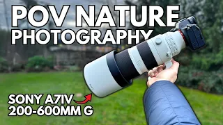 POV Nature Photography - a "SHORT" film (Sony a7iv + 200-600mm G)