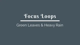 ASMR | 1 HOUR | Green Leaves & Heavy Rain