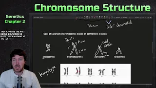 Chromosome Structure and Organization | Genetics Ep. 2