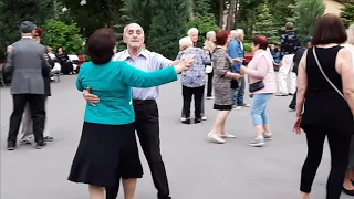 ЧЕРВОНА РУТА