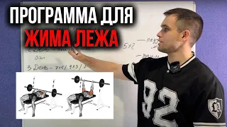 Программа тренировок для жима лежа