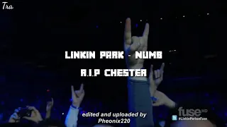 Linkin Park - Numb live ( Eng - Myan Subtitle )