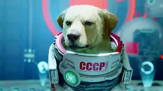 Прохождение Guardians of the Galaxy  - Глава 7. Собачья жизнь