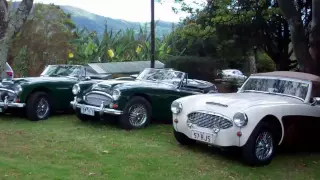 Driving a Austin Healey 100/4 - fantastic