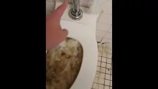 Flushing a clogged school toilet