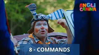 8. Lekcia - COMMANDS | povely | ANGLIČANINA 2