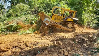 Process of Repairing an Abandoned Garden Using a CAT D6R XL Dozer