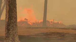 Wildfires Force Thousands to Evacuate