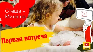 Реакция Милаши на Стешу. Выписка из роддома. Важное в описании!!!!