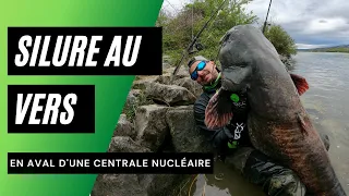 Je pêche le silure sur le Rhône en aval d'une centrale nucléaire.