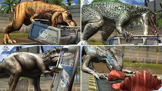 ALL DINOSAURS FEEDING OR EATING SCENE ANIMATION | Jurassic World The Game