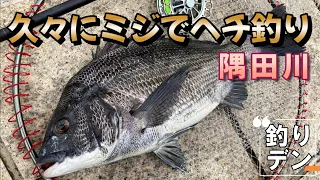 久々にミジでヘチ釣り・隅田川！