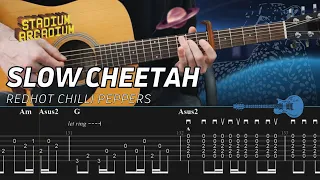 RHCP - Slow Cheetah (Guitar lesson with TAB)