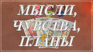 ЕГО МЫСЛИ, ЧУВСТВА, ПЛАНЫ НА ВАС Таро,  Таро онлайн #tarot #tarotreading #таро