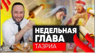 👨‍👩‍👧‍👦 Дети - отражение своих родителей. Тазриа 5782 | Рав Бенцион Каплан