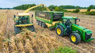 Silózás 2022 | Krone BIG X 630 | 4x John Deere, JCB, Valtra, Rába Steiger | Mais Silage 2022