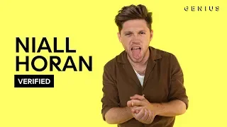 Niall Horan "Nice To Meet Ya" Official Lyrics & Meaning | Verified