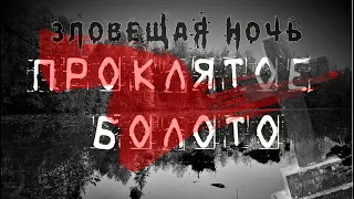 Проклятое БОЛОТО. Зловещая НОЧЬ / kinectcamera | Cursed SWAMP. Ominous night