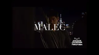 Magnus bane+Alec Lightwood (malec) MV carry you