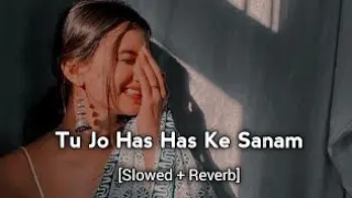 Tu Jo Has Has Ke Sanam | slowed x reverb | Raja Bhaiya 2003 | Udit Narayan, Govinda #oldsong