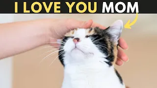 15 Signs your cat considers you its mother