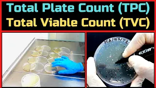 Total Plate Count (Total Aerobic Bacterial Count)_A Complete Procedure (BAM, Ch-3)