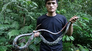 Face the darkness and danger - Six months of survival in the Tropical Rainforest - Episode 3