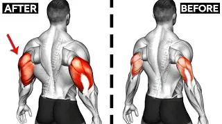 How To Build Your WIDER Triceps workout AT GYM (Effective Exercises)