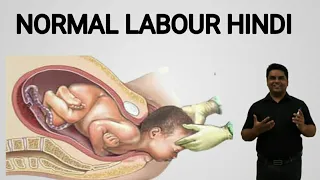 Normal Labour||Stages of Labour in Hindi||Labour Pain||Nursing Management of Labour