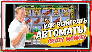 Как выиграть в игровые автоматы Crazy monkey