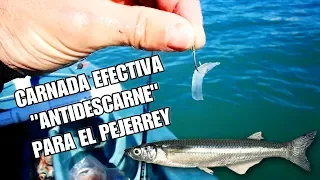 CARNADA EFECTIVA "ANTIDESCARNE" PARA PESCAR PEJERREY