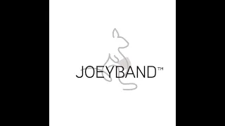 5 MIN TRAINING - JOEYBAND PRO