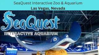SeaQuest Interactive Zoo & Aquarium Las Vegas, Nevada Overview