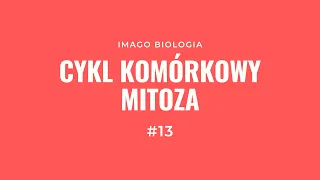 Cykl komórkowy i mitoza