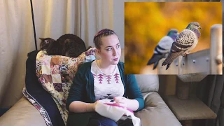 Pigeon Facts / Living with ADHD | Last Minute Laura