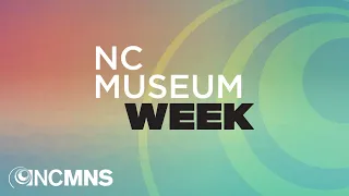 NC Museum Week - Feathered Friends: Learn about Ornithology