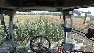 MAIZE SILAGE 2019|| Claas Jaguar 960 Gopro Hero 7 Black