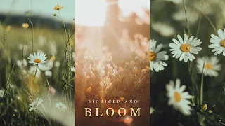 BLOOM 🌼 - Beautiful & Emotional Piano to feel alive  ｜BigRicePiano