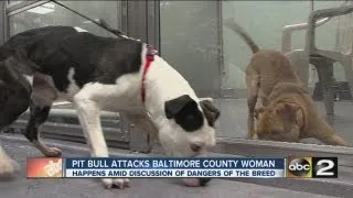 Pit Bulls attack owner