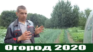 Урожайный огород 2020 или "Как потопаешь, так и полопаешь"!