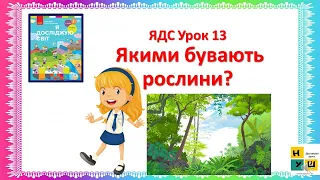 ЯДС  2 клас Урок 13 Якими бувають рослини?  автор підручника Бібік