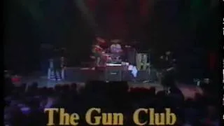 Death Party - The Gun Club - La Edad de Oro, Madrid 1984
