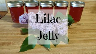 Lilac jelly